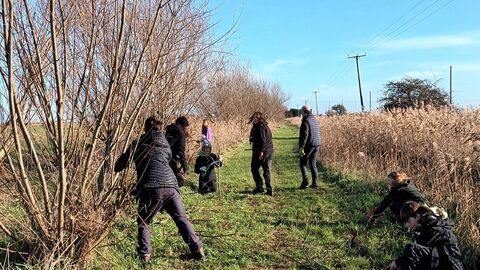 A group of teenagers cutting trees with small saws