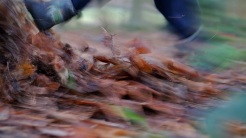 orienteering