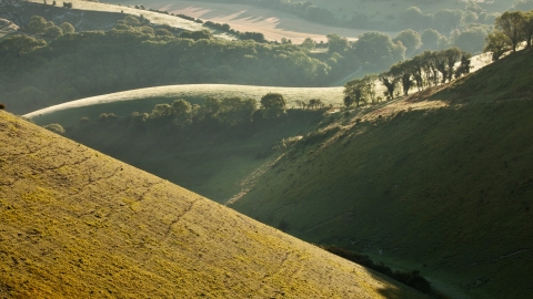 A view across the rolling hills of the South Downs.