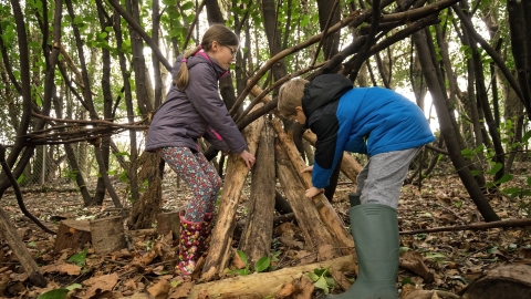 Den building