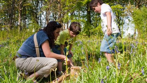 Image of family in a woodland