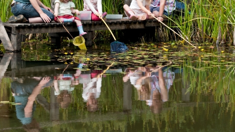 Pond-dipping with nets and wellies