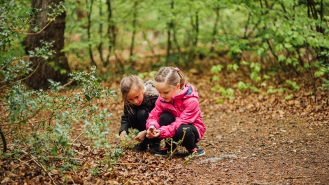 Children in the woods by Helena Dolby for Sheffield & Rotherham Wildlife Trust
