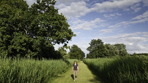 A person walking at Woodwalton Fen