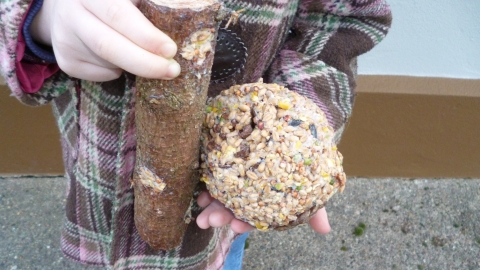 Nene Wetlands Make Your Own Bird Feeder Wildlife Trust For