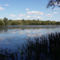 Nene Wetlands WTBCN