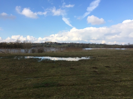 A winter view of Summer Leys