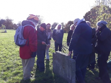 Surveying lichens for project WILDside