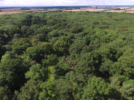 Hayley Wood Aerial