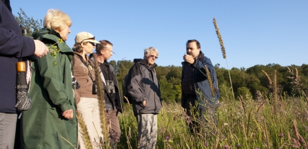 Wildflower walk