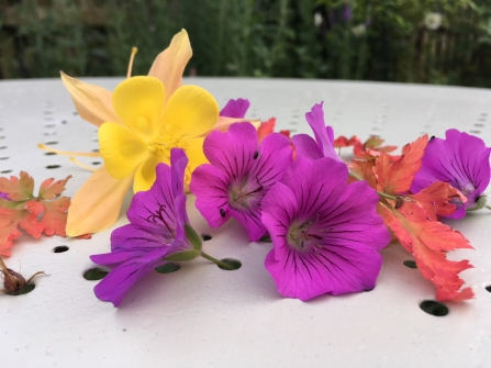 Some flowers laid across the table