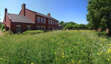 The Manor House - Wildlife Trust BCN