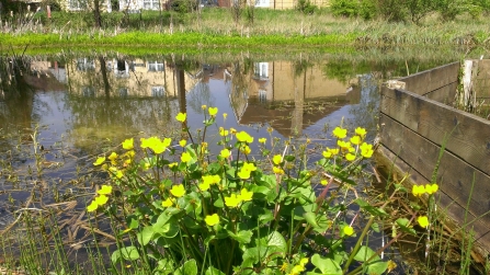 Cambourne by Caroline Fitton