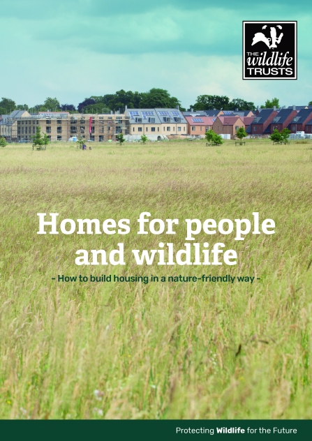 The cover showing a photograph of Trumpington Meadows