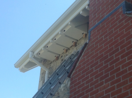 A set of four swift boxes affixed to a wall under the eaves of a roof