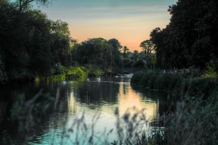 River Nene embankment 