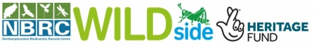WILDside NBRC HLF logos