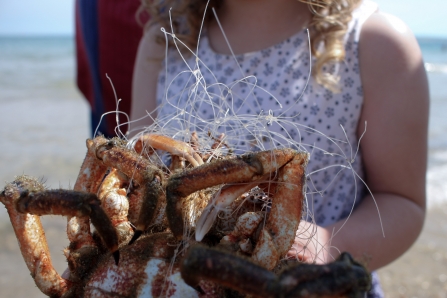 A crab tangled in plastic waste