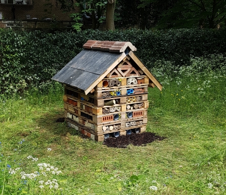 Downing College's bug hotel