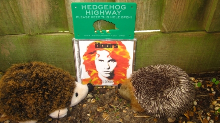 Creating a hedgehog hole in a fence