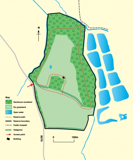 Map of Fancott Woods and Meadows