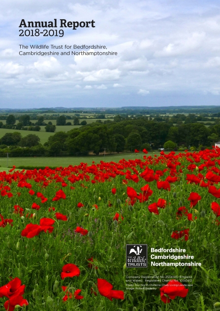 Wildlife Trust BCN Annual Report Cover 2018-2019