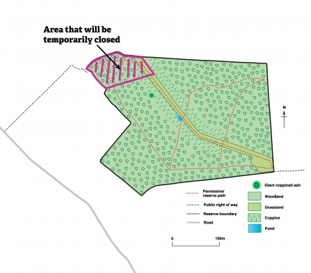 Lower Wood management work