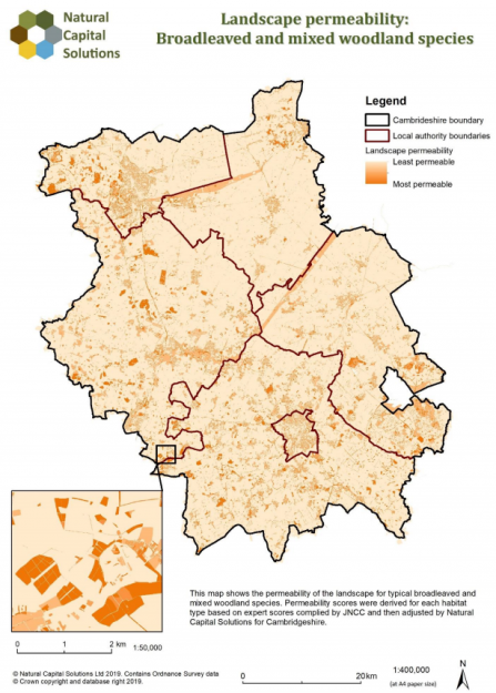 A map showing different levels of permeability for broadleaf woodland in Cambridgeshire