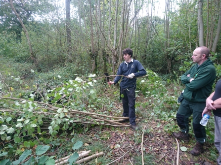 Glenn Hadley coppicing hazel in Hayley Wood Oct 2019