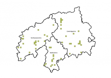 Swift 2019 Survey Results Map