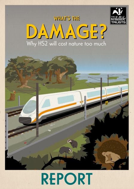 What's the Damage? Why HS2 will cost nature too much. Report cover.