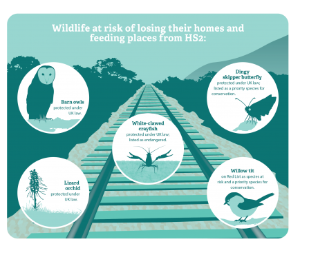 Wildlife at risk - HS2