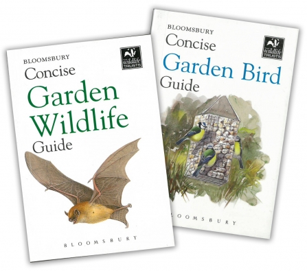 The cover of the Concise Garden Wildlife Guide and the Concise Garden Bird Guide