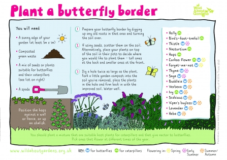 Butterfly Border Activity Sheet