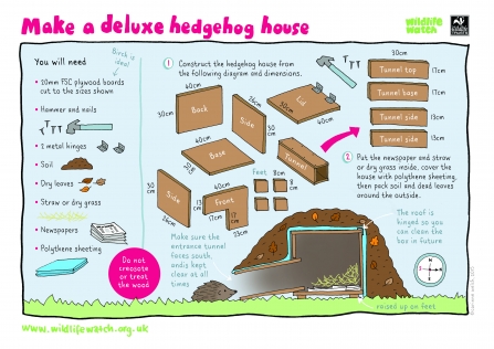 Make a hedgehog house