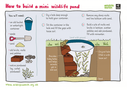 Mini wildlife pond