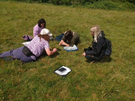 Group Recording Wildlife