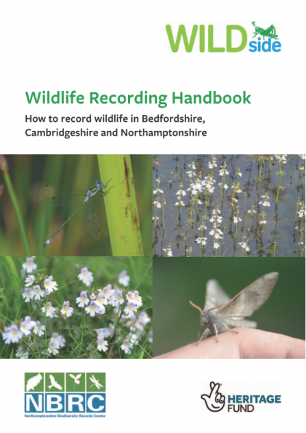 Front cover of recording handbook