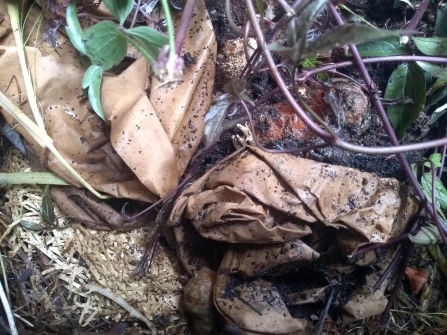 Composting a mix of green and brown by Sophie Baker