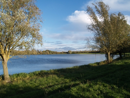 Godmanchester - c. Wildlife Trust BCN