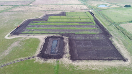 Great Fen Water Works plot, aerial by Henry Stanier