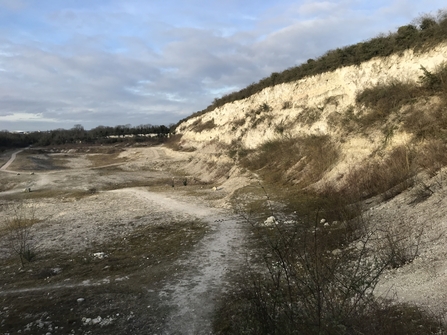 Cherry hinton chalk pits reserve spring sunlight 2020 c. Sophie Busch