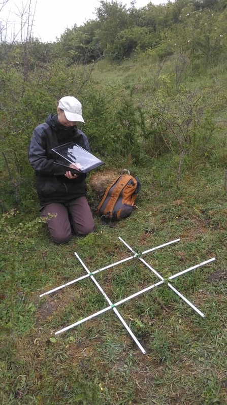 Grassland Survey c.Gwen Hitchcock