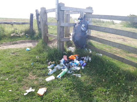 Litter on Wadern Hill c.Esther Clarke