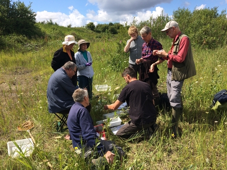 Monitoring Water Beetles - Kevin Rowley