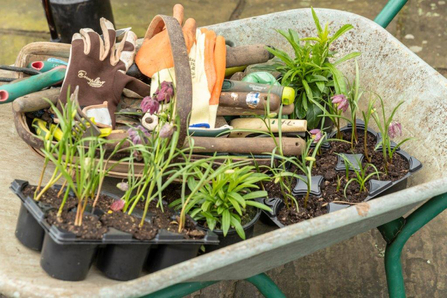 Gardening c Penny Dixie Wildlife Trusts