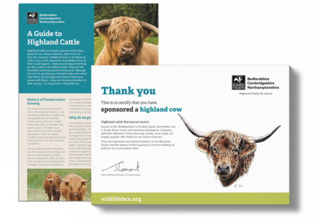 Sponsor A Highland Cow Certificate and Fact Sheet