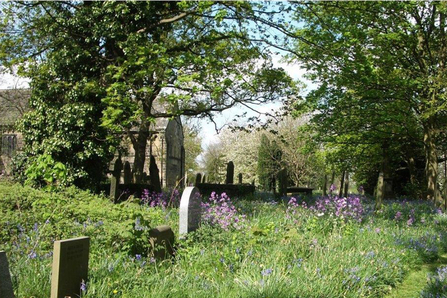 Yorkshire Churchyard Yorkshire Wildlife Trust