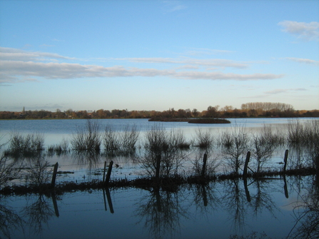 Godmanchester nature reserve is on a floodplain