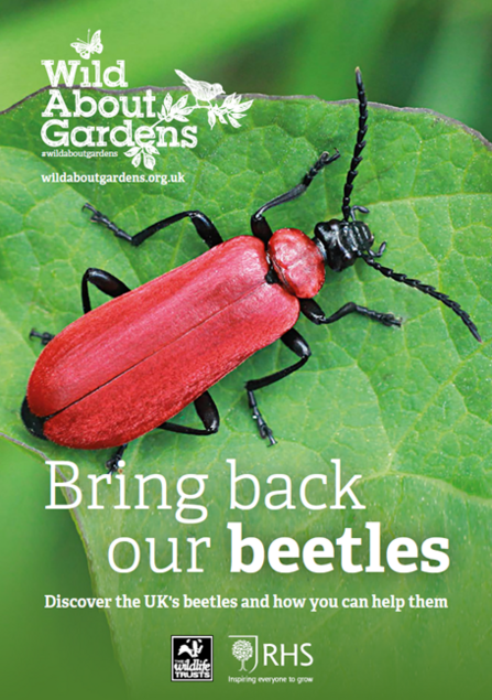 Wild About Gardens beetle booklet cover